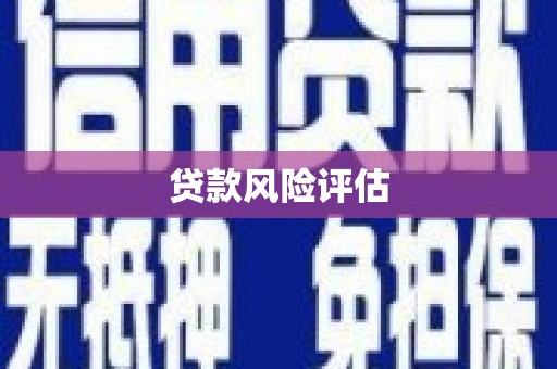 麻涌贷款风险评估
