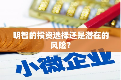 麻涌明智的投资选择还是潜在的风险？