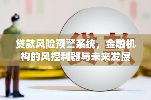 麻涌贷款风险预警系统，金融机构的风控利器与未来发展