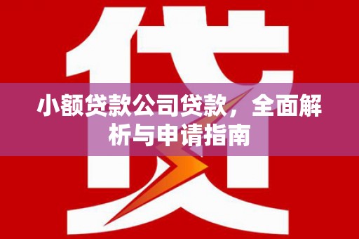 麻涌小额贷款公司贷款，全面解析与申请指南