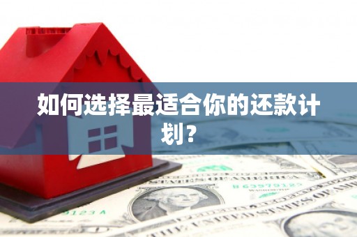 麻涌如何选择最适合你的还款计划？