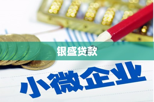 麻涌银盛贷款