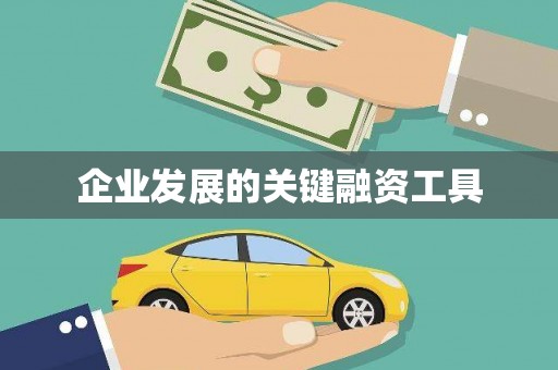 麻涌企业发展的关键融资工具