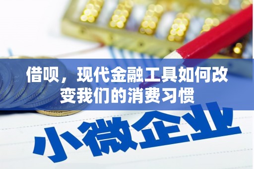麻涌借呗，现代金融工具如何改变我们的消费习惯