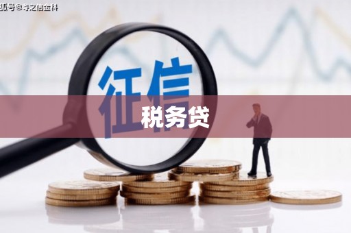 麻涌税务贷