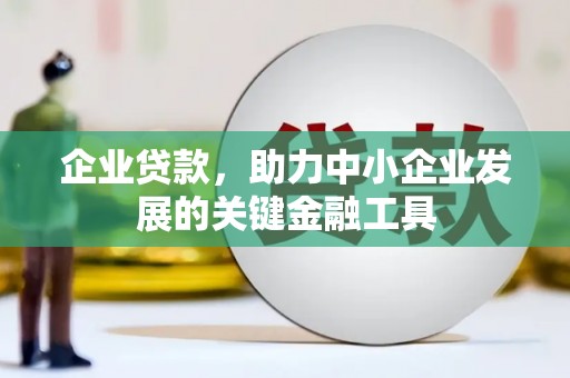 麻涌企业贷款，助力中小企业发展的关键金融工具