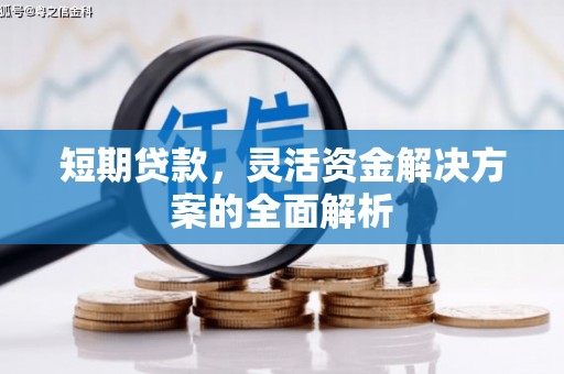 麻涌短期贷款，灵活资金解决方案的全面解析