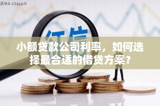 麻涌小额贷款公司利率，如何选择最合适的借贷方案？