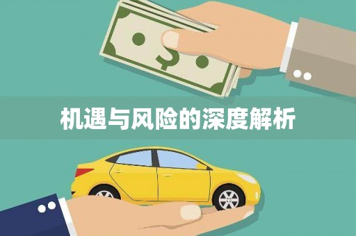 麻涌机遇与风险的深度解析