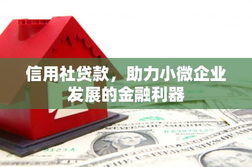 麻涌信用社贷款，助力小微企业发展的金融利器