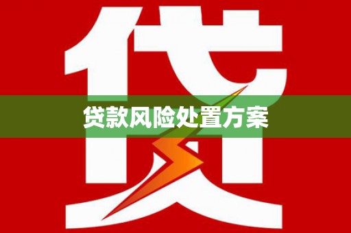 麻涌贷款风险处置方案